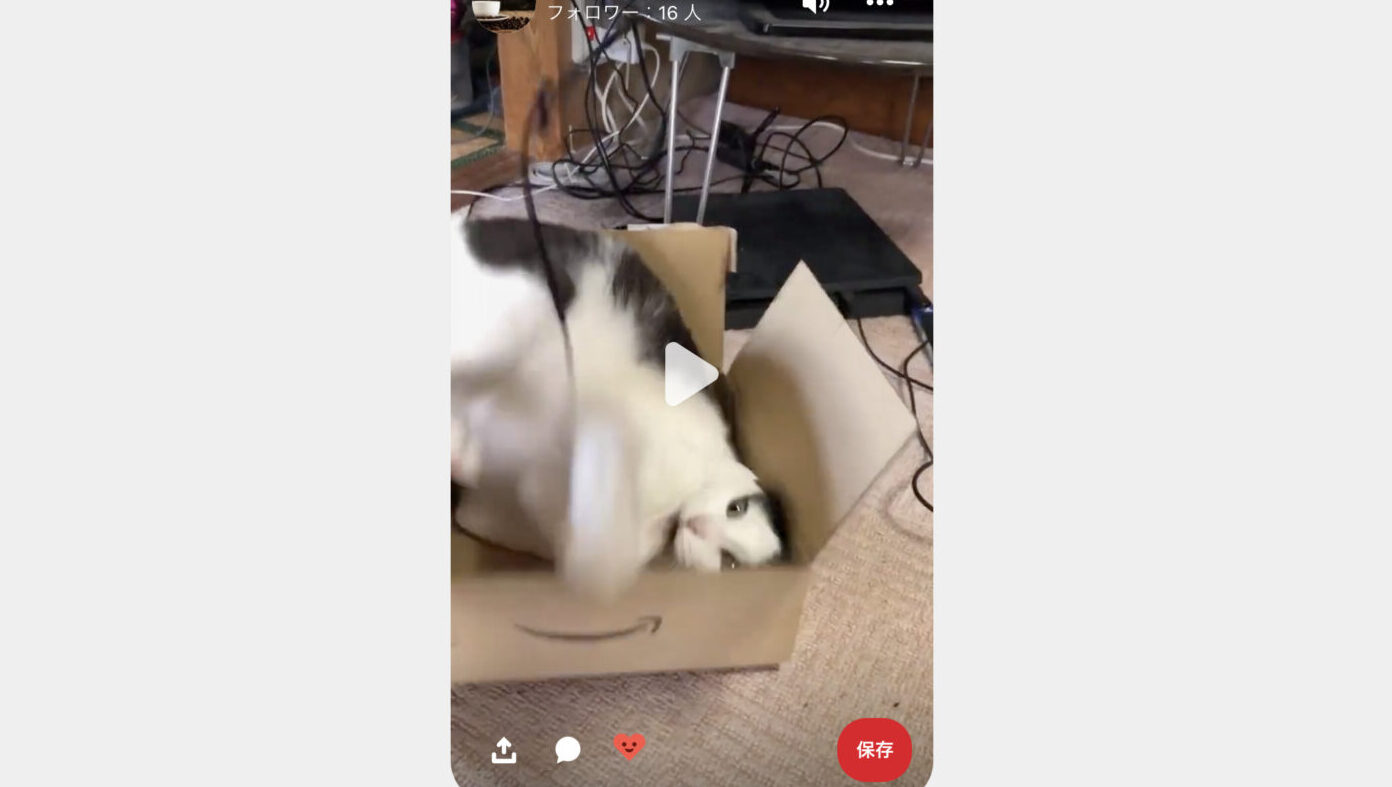 ピンタレスト】アイデアピンで「月10万PV」を達成する方法紹介